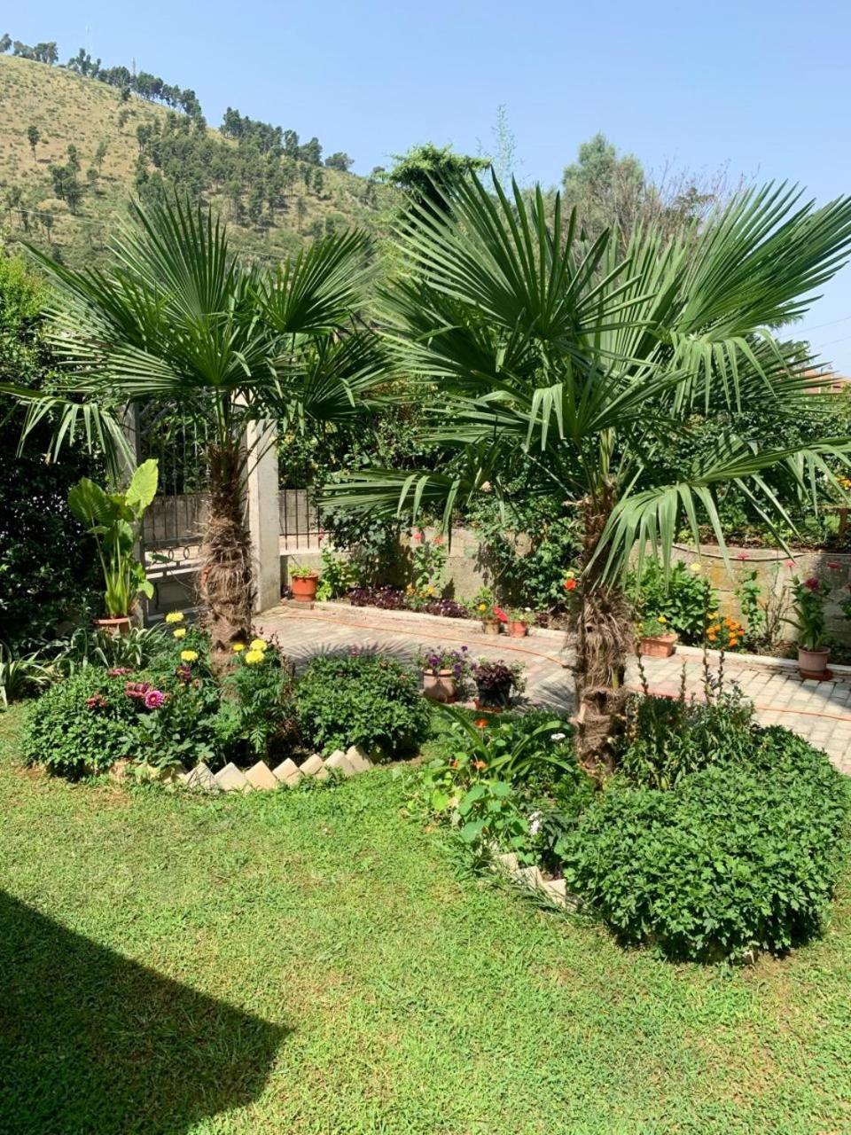 Villa With Garden And Veranda Berat Bagian luar foto